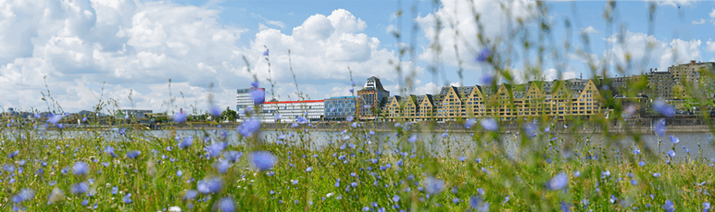Heinsberg Customs Clearance