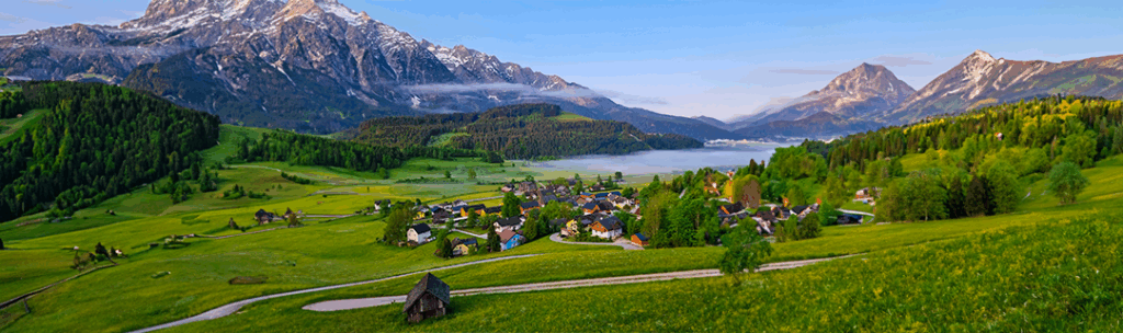 Horbranz Customs Clearance